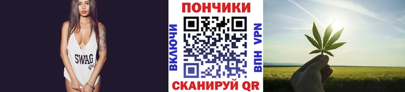 Бошки Шишки THC 21%  Кемь 